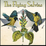 Flying Salvias band