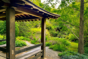 Sonoma Botanical Garden