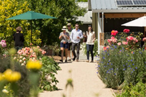 Butterflies & Buds: Wine & Hands on Farm Activities Event