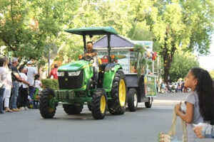 Healdsburg Future Farmers Twilight Parade