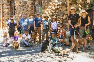 Walk & Wag at Jack London State Park