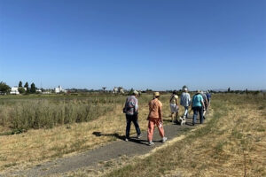 Slow Stroll Tuesday at Petaluma River Park