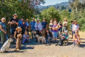 Walk & Wag at Jack London State Park