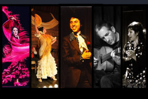Flamenco Live