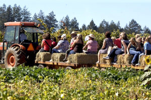Shone Farm Fall Festival
