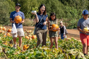 Shone farm fall festival