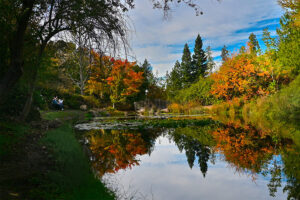 Sonoma Botanical Garden