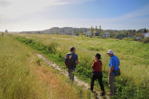 Petaluma River Park Walk