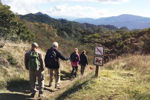 Summit hike at Summerloaf Ridge State Park