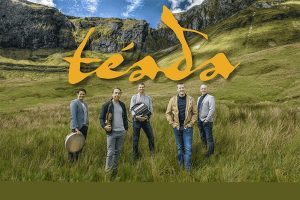 Téada at HopMonk