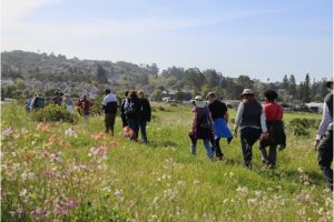 Petaluma River Park Walk