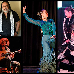 Flamenco live in Petaluma
