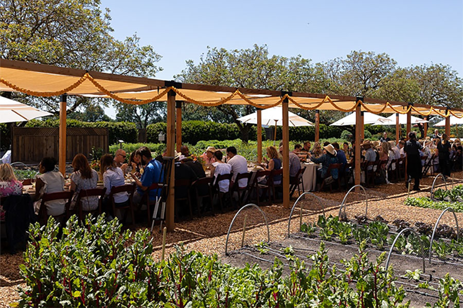 Healdsburg Wine and Food Experience Concert featuring Allen Stone