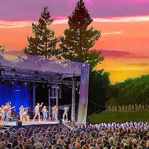 Broadway Under the Stars: Broadway's Best Night Ever in Sonoma