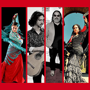 Flamenco Live