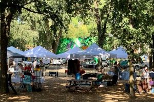 Forestville Farmers Market