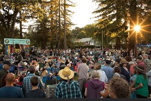 Peacetown concerts at Ives Park Sebastopol