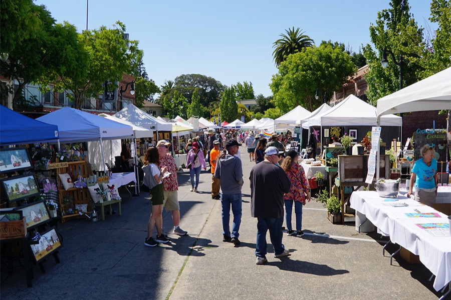 Petaluma Art & Garden Festival