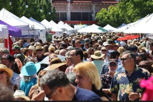 Petaluma art and Garden Festival