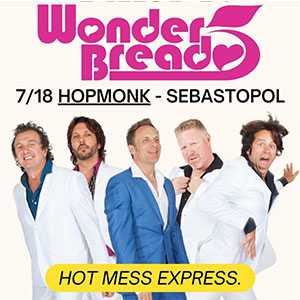 wonderbread 5 band at Hopmonk