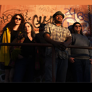 Lee Vandeveer band