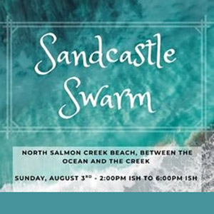 Sandcastle swarm in Bodega Bay