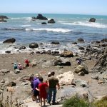 Shell Beach