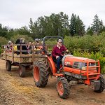 Shone Farm Fall Festival