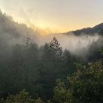 Suagarloaf spooky hike