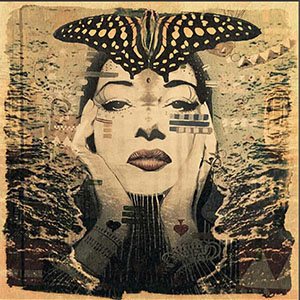 Butterfly Effect at Gold Ridge Farm