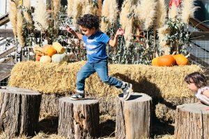 Fri & Sat: Cotati Fall Festival
