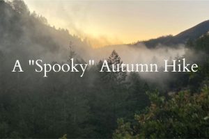 A "Spooky" Autumn Hike at Sugarloaf Ridge Park